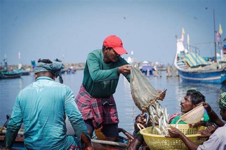 Are commercial fishermen self-employed?