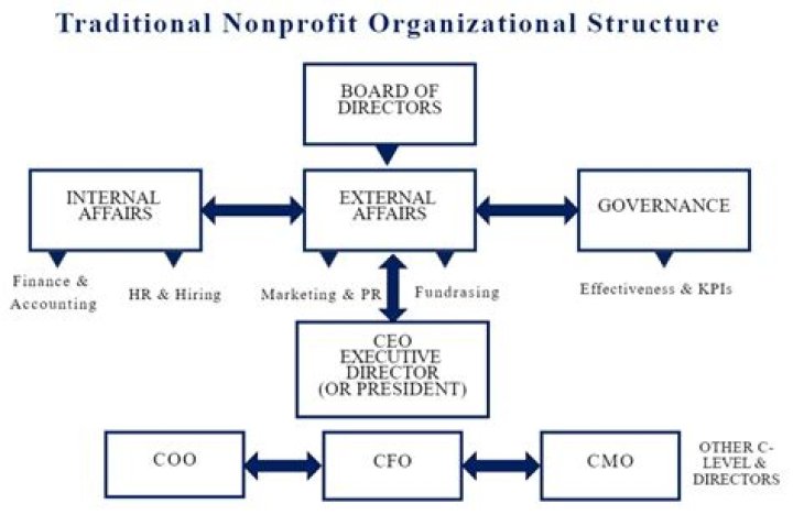 Can a non profit have a vice president?