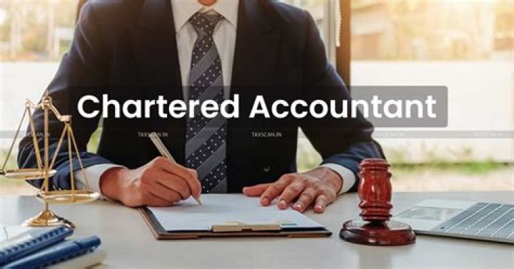 Can an accountant set up an S corp?