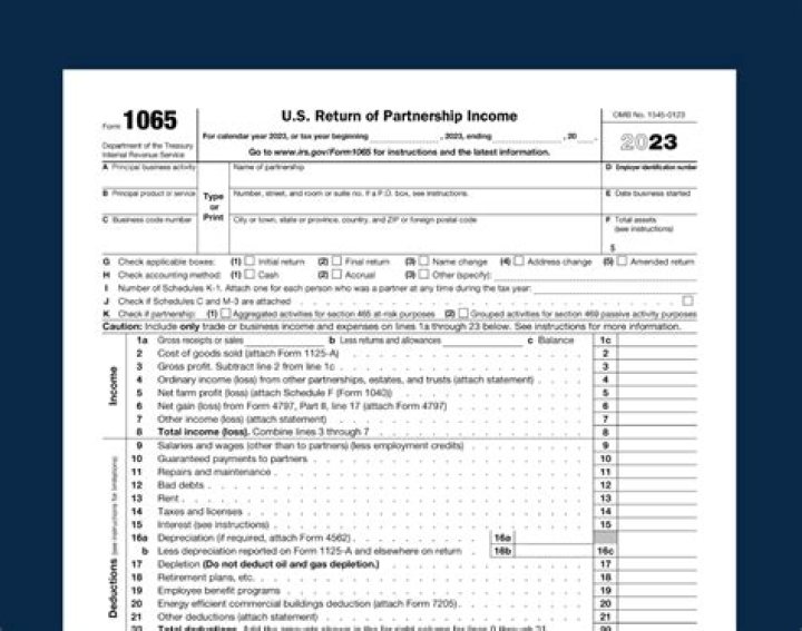 Can I file my own partnership tax return?