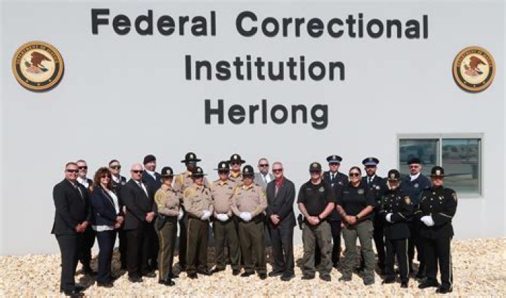 Can you go to jail for lying to a federal agent?
