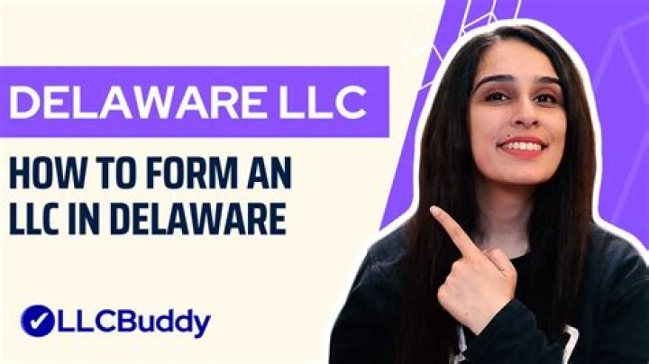 Does a Delaware LLC have share capital?