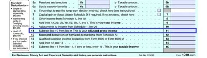 How do I make sure my tax return is correct?