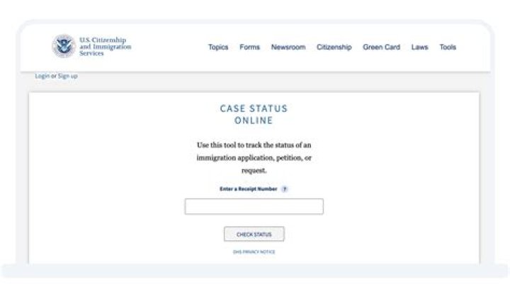 How do you cite a case online?