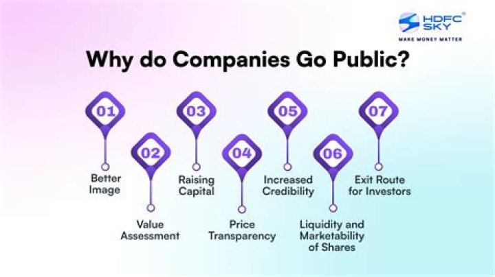 How long after filing do companies go public?