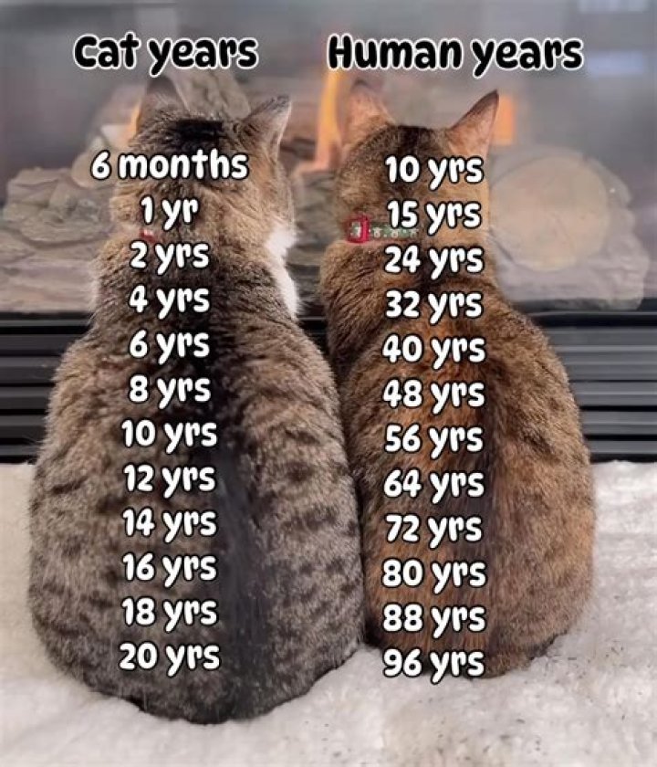 How many years back can be filed?