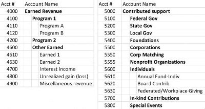 How much earned revenue can a nonprofit make?