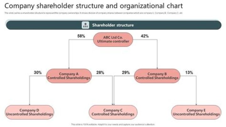 What are corporation shareholders?