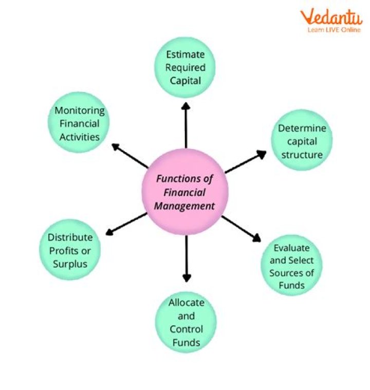 What are the 4 types of financial management?