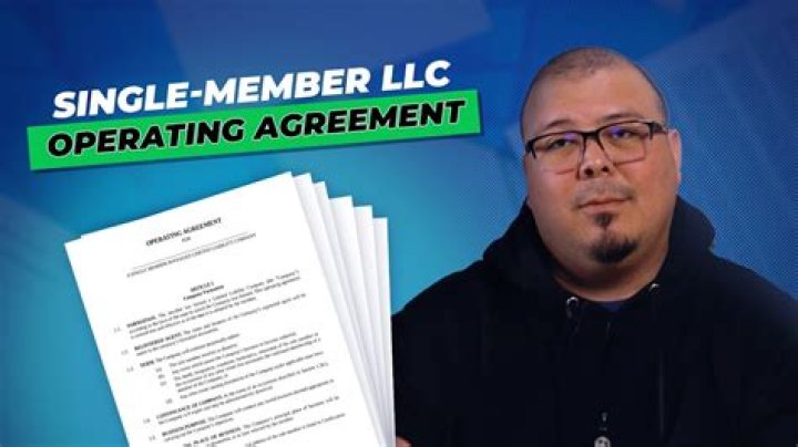 What do you call a single member LLC?