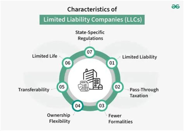 What does a limited liability company do?
