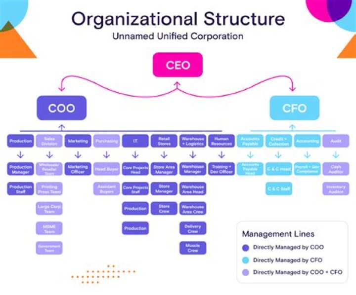 What does it mean to own 51% of a company?