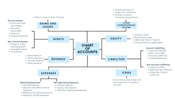 What is a chart of accounts for a business firm?