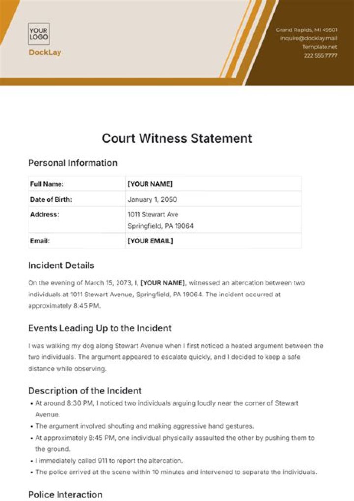 What is a financial statement for court?