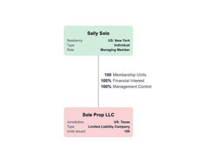 What is a member in an LLC?