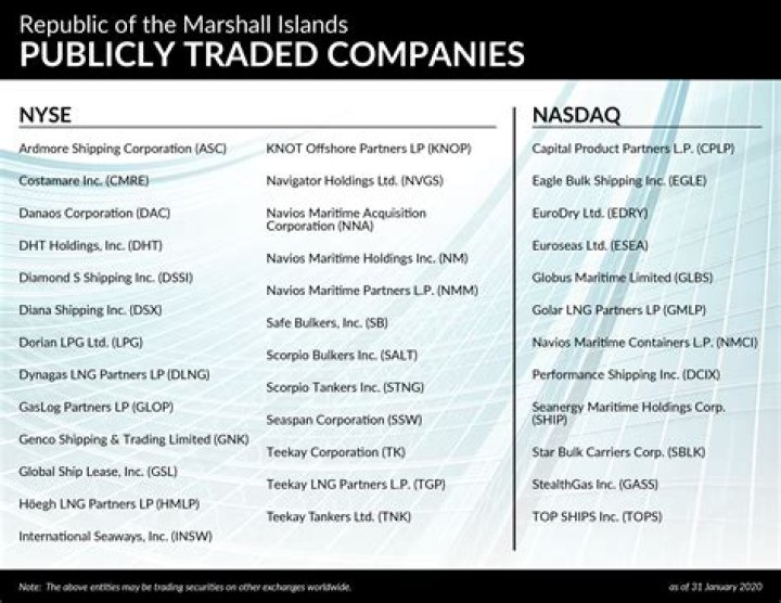 What is a non publicly traded company?