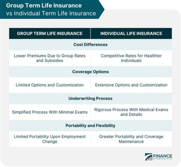 What is basic group term life insurance?