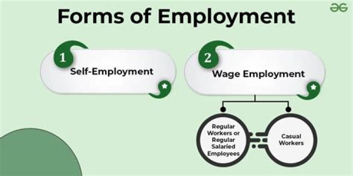 What is example of self-employment?