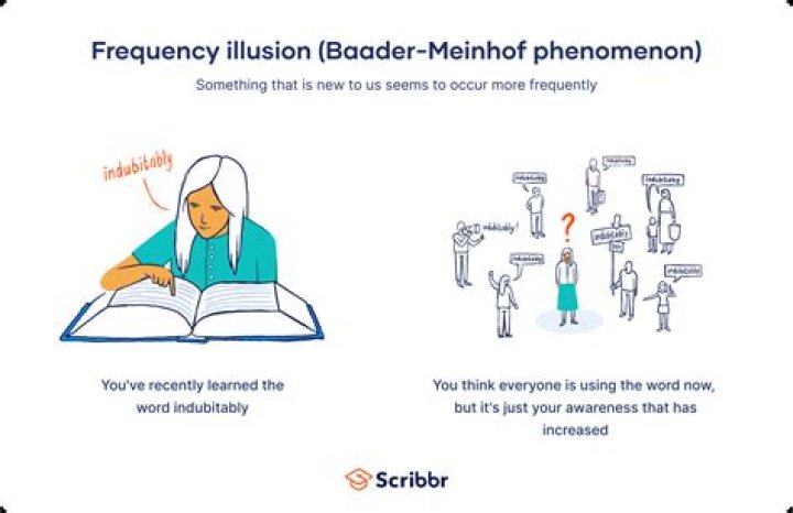 What is it called when someone represents themselves?