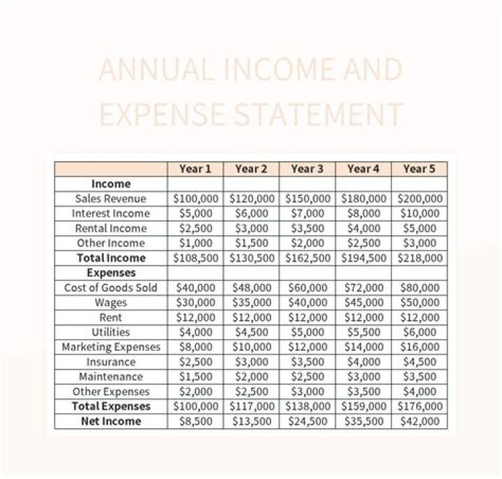 What is my current individual annual income?