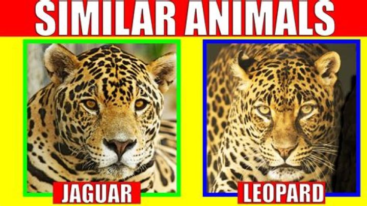 What is similar situation?