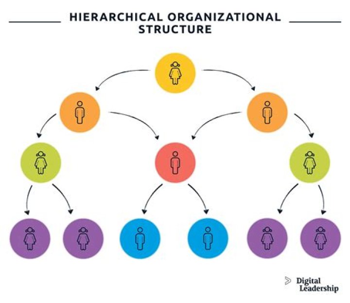 What is the organizational structure of Habitat for Humanity?