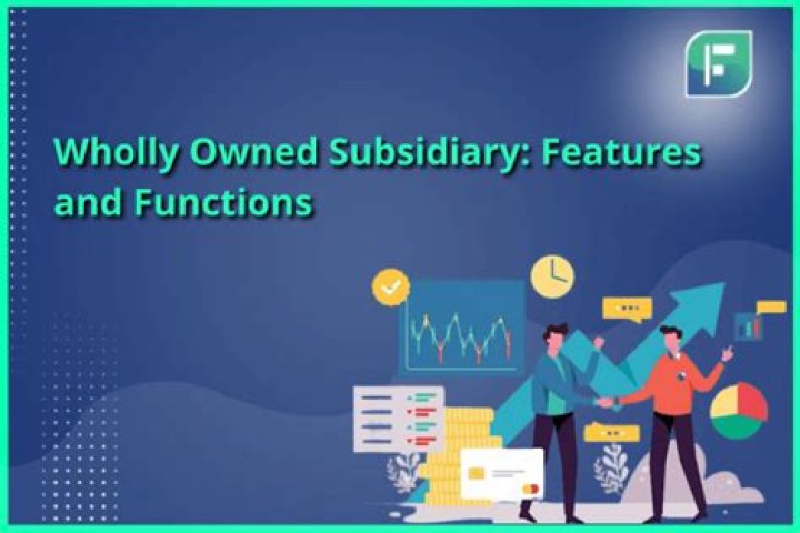 What is wholly owned foreign subsidiary?