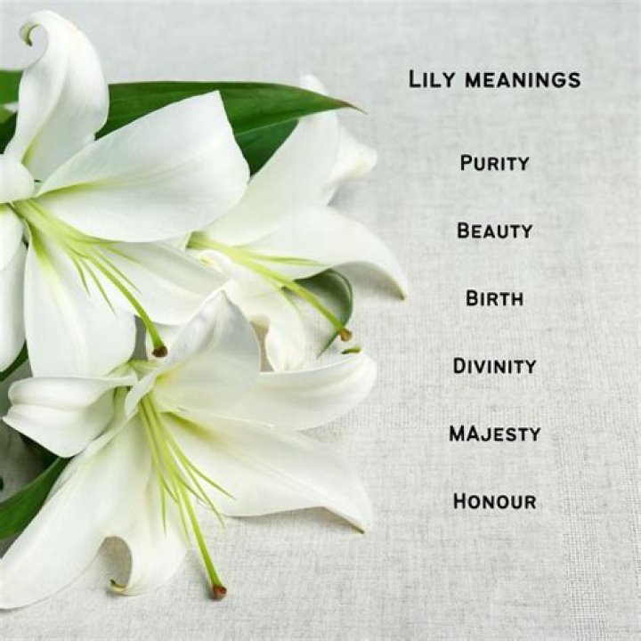 What name is Lily short for?