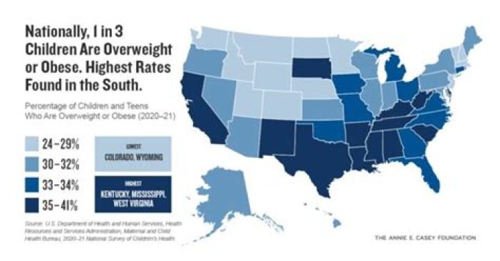 What percent of children in the United States receive regular dental care?