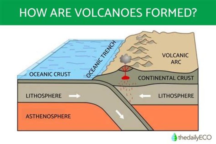 Where is an LLC formed?