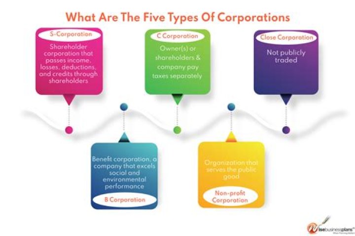 Why are corporations needed?
